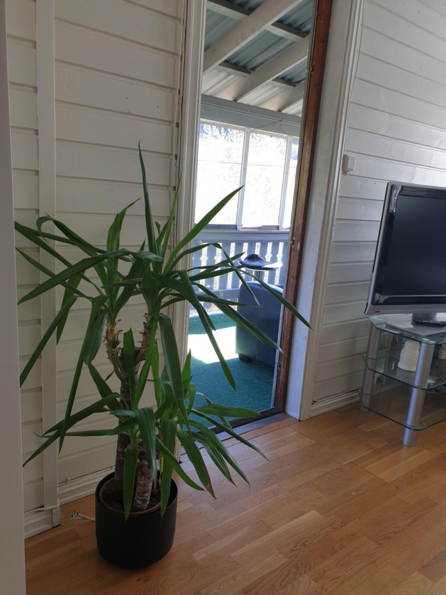 Holiday Home Gol Ngoại thất bức ảnh